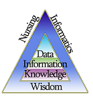 Nursing Informatics.com